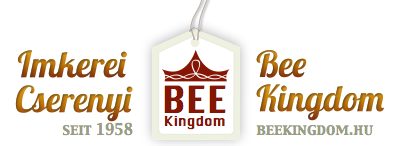 _logo_title_